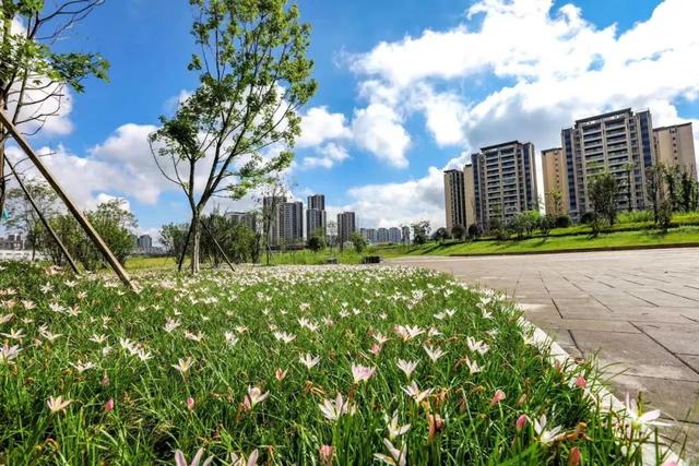 好消息！新区购房每平方米最高补贴600元！详细内容，戳→