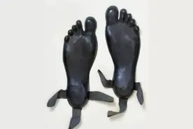 显微镜下正在吐丝的蜘蛛特写！奇葩的冷知识又增加了图片