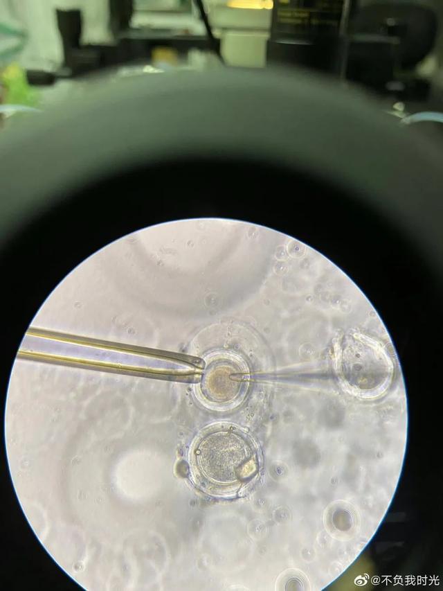 “我命由我不由天！”儿子被诊断“活不过三岁”，他自制药物为儿子续命……