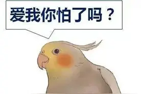 长沙女子咳嗽两周未愈，竟是家中鹦鹉惹的祸……图片