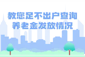 养老金发放情况怎么看？动动手指就能查图片