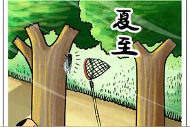 （图表·漫画）［二十四节气·夏至］蝉始鸣图片