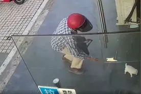 偷走小奶狗又将其遗弃，松江警方：依法行拘图片