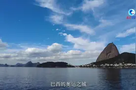 全球连线 | 巴西“超级水果”阿萨伊图片