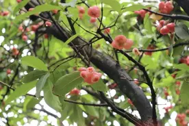 广东高校花式宠毕业生，慕了慕了图片