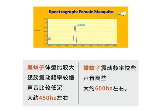 蚊子为什么总是在关灯后才在你的耳边嗡嗡嗡的叫？
