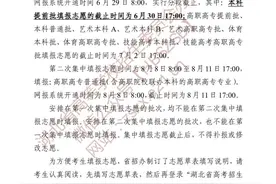 @湖北高考生，志愿怎样填报？这份草表可以练练手图片