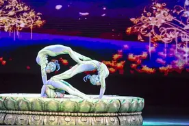 大开眼界的柔术表演，太美了图片