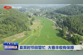 四川新闻联播丨夏至时节田管忙 大春丰收有保障图片