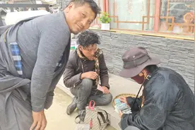 川西虫草产地调查②丨虫草交易的“冰与火之歌”：传统收购商叹生意难做，主播带货月赚8万图片