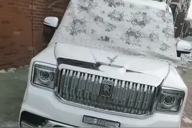 “顶级豪车”齐聚山东曹县！有怒虎“懒胜”、兰基尼“牛犊”……等等，好像哪里不太对？图片