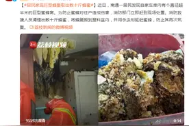 居民家现巨型蜂巢，现场取出数十斤蜂蜜图片