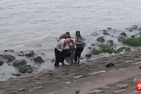 女子投江轻生还拒绝被救 62岁保安江水中“硬核”救人图片