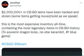 曝迪拜王子CSGO顶级库存被盗 V社介入删除被盗皮肤图片