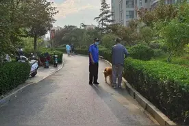 携犬外出不牵绳，泰安志高国际小区一女子被罚图片