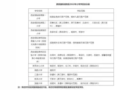 2022年国际港务区义务教育公办学校学区划分(小学+初中)图片
