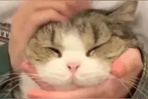 方便！多元化乘车方式，这些需要注意图片