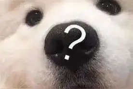 最新通知！鄂州学校放假时间定了！图片