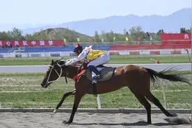 （体育）新疆博州举办第一届少数民族传统体育运动会图片