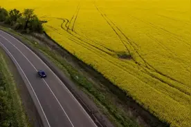 油价飙升，欧洲国家把食用油当汽油？汽车专家：不可取图片