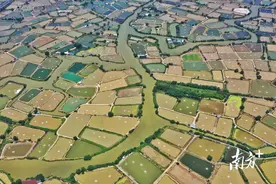 佛山养殖池塘改造进度如何？占年度任务65%图片