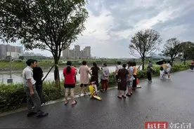 少年疑被误导下河救狗溺亡，律师称应构成见义勇为图片