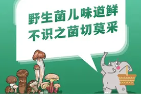 事关省级党政机关公务差旅费！云南出台管理办法→图片