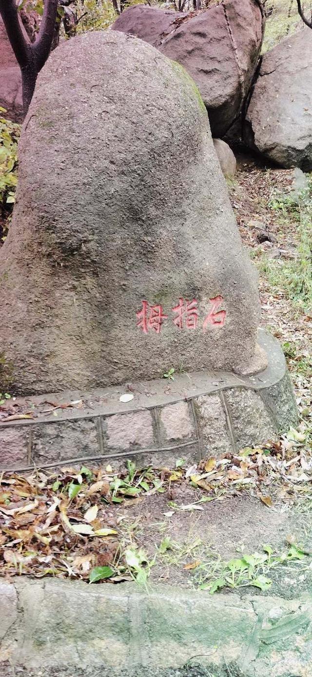 ̳/һ/ѧ