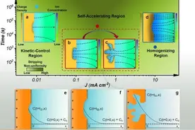 研究揭示镁金属负极的不均匀溶出行为图片