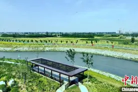 河湖景观+防洪屏障：河北邯郸滏阳河“生态廊道变身记”图片