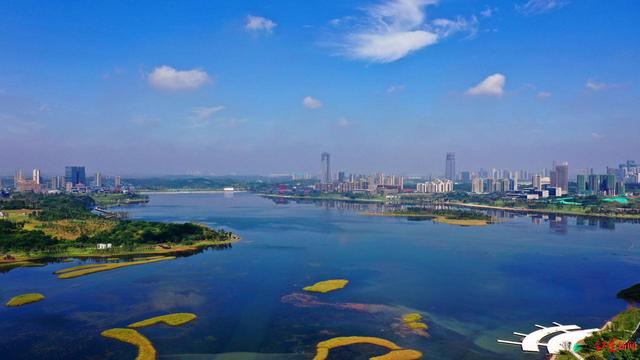 高考期间城市热搜第一！当考生选择成都，他们在选择什么？