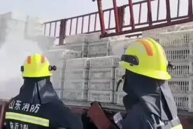 喂，119吗？我的一车鸡不行啦，我的一车鸭也不行啦图片