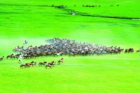 内蒙古：北疆亮丽风景线图片