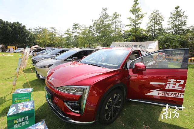 ������֦+����¶Ӫ+300��Ԫ����ȯ��弲������ڹ������ô��