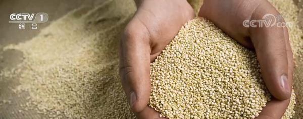 琚О涓衡€滅礌椋熶箣鐜嬧€濈殑杩欑涓婚锛屽叾瀹炴槸涓€滃亣鍐掕揣鈥濓紵浣嗕笉濡ㄧ瀹冪ǔ瀹氫綘鐨勮绯栧拰琛€鑴? onerror=