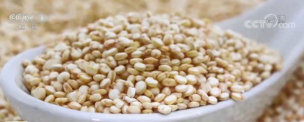 琚О涓衡€滅礌椋熶箣鐜嬧€濈殑杩欑涓婚锛屽叾瀹炴槸涓€滃亣鍐掕揣鈥濓紵浣嗕笉濡ㄧ瀹冪ǔ瀹氫綘鐨勮绯栧拰琛€鑴? onerror=