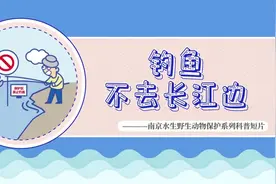 南京首次公布鱼类物种新记录！这本手册里的210种动物，你见过几种？图片