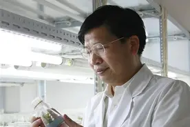加大青年基金资助力度，“青椒”别“躺平”图片
