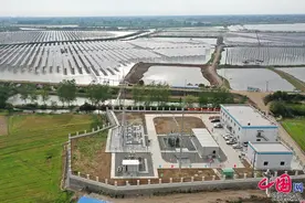 安徽省今年首个光伏发电项目——天长市华晖渔光互补光伏发电项目顺利并网图片