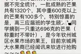 极目时评｜水果喜报扑面而来，该不该一笑了之图片