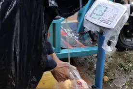 大爷雨中卖桃，好心小伙全部买走：作为农民的儿子感同身受，想帮他早点回家图片