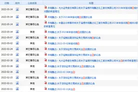 以政府补助16216.44万元虚增利润，雪松发展及多名高管受罚图片