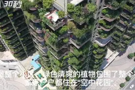 30秒｜每层阳台都种着绿植 成都一小区居民仿佛住在“空中花园”图片