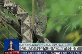 女子被蛇咬后模仿影视剧用嘴吸毒，伤反而加重，医生紧急提醒图片