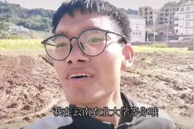 丁同学，你把云南农大带火啦图片
