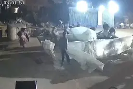 果然视频｜烟台：凌晨突然打雷，亲戚邻居帮农户抢收35万斤麦子图片