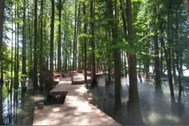 闭园一年，“东湖落雁”升级归来，7月1日开园，快来图片