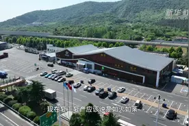 中国经济一线见闻｜宁沪高速服务区重现往日红火图片
