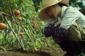 被董宇辉的玉米感动哭，我是在干嘛？图片