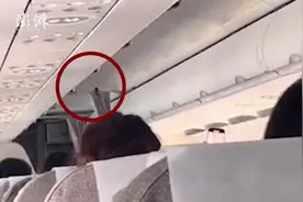 东航一客机高空飞行时舱内飞出小鸟，乘客：不知道从何而来图片